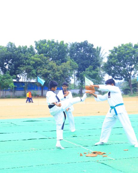 Martial Arts